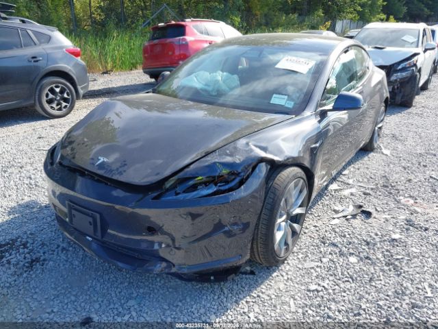 2025 TESLA MODEL 3 5YJ3E1EB7SF051143 Photo 5