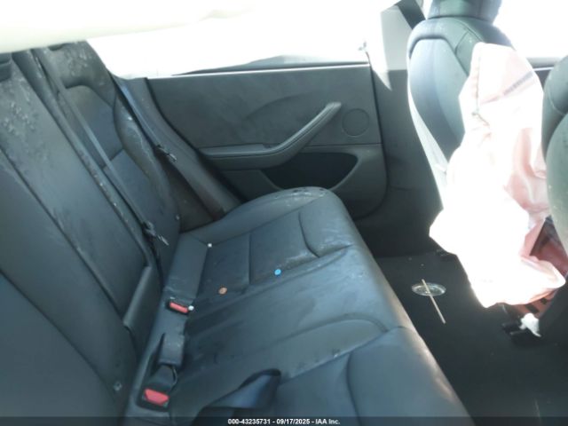 2025 TESLA MODEL 3 5YJ3E1EB7SF051143 Photo 7