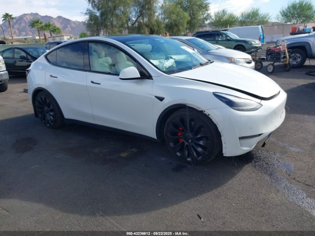 2022 TESLA MODEL Y 7SAYGDEF7NF398189
