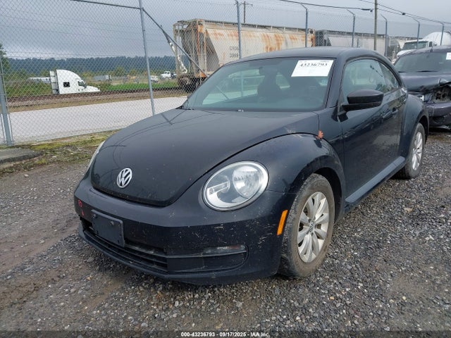 3VWF17AT1FM646143 Volkswagen Beetle
