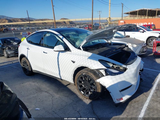 2024 TESLA MODEL Y 7SAYGDEE1RA266233 Photo 0