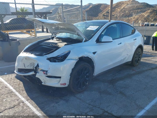 2024 TESLA MODEL Y 7SAYGDEE1RA266233 Photo 1