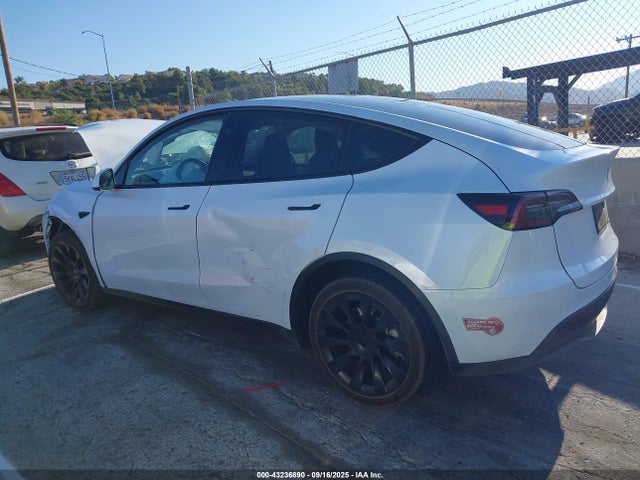 2024 TESLA MODEL Y 7SAYGDEE1RA266233 Photo 2