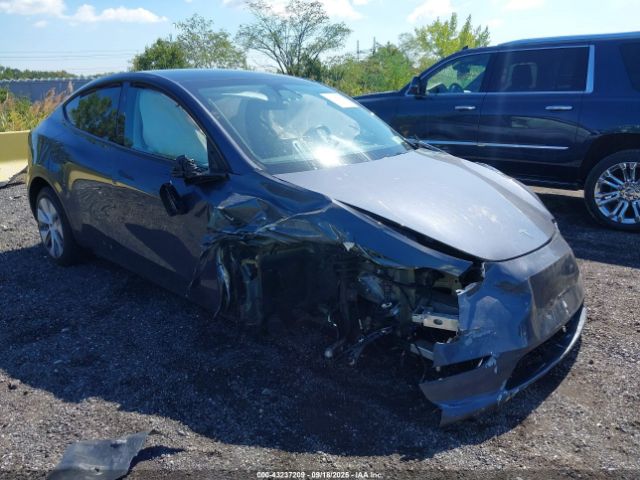 2023 TESLA MODEL Y 7SAYGDEE8PF847017 Photo 0