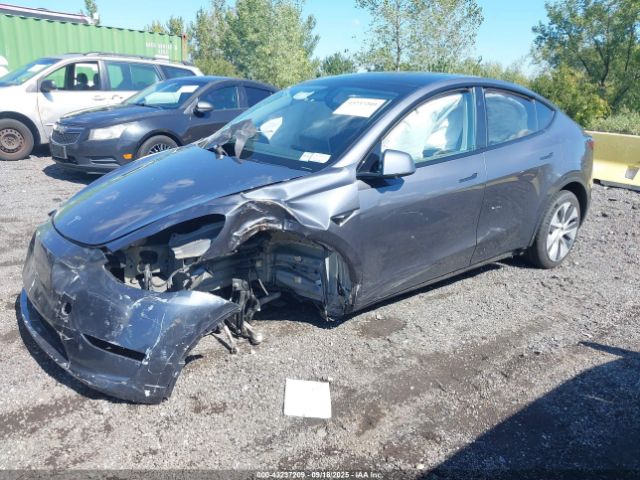 2023 TESLA MODEL Y 7SAYGDEE8PF847017 Photo 1