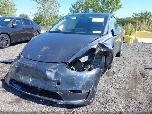 2023 TESLA MODEL Y 7SAYGDEE8PF847017 Photo 5