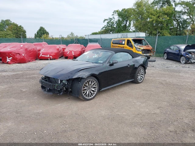 Ford 4v 2025 1FAGP8UH2S5104185 Image 2