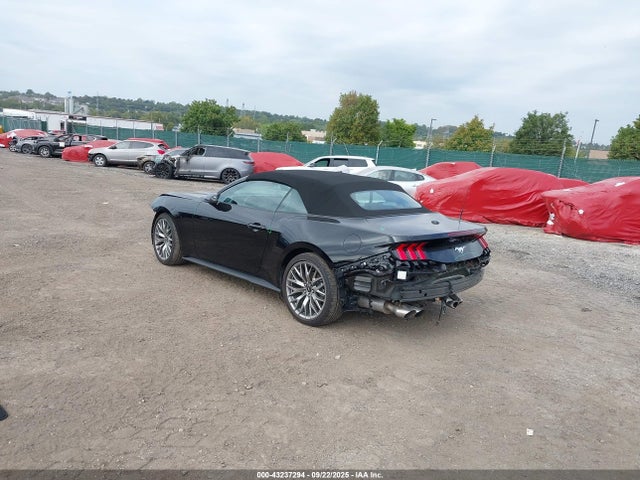Ford 4v 2025 1FAGP8UH2S5104185 Image 3