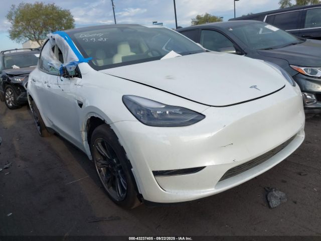 2025 TESLA MODEL Y 7SAYGDED2SF230664 Photo 0