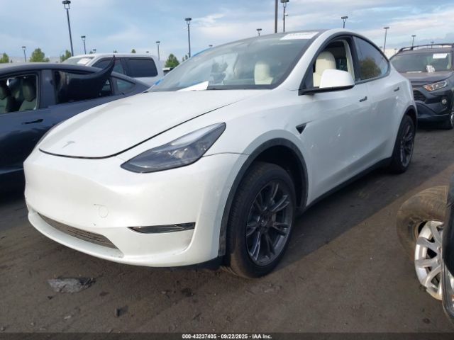 2025 TESLA MODEL Y 7SAYGDED2SF230664 Photo 1