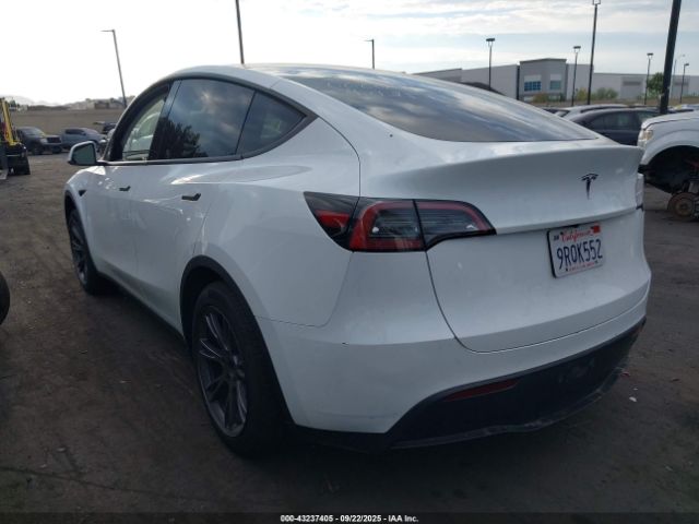 2025 TESLA MODEL Y 7SAYGDED2SF230664 Photo 2