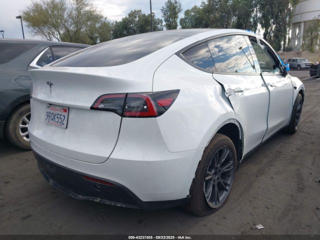 2025 TESLA MODEL Y 7SAYGDED2SF230664 Photo 3