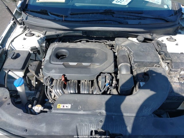 5NPE24AF2HH485637 Hyundai 2017