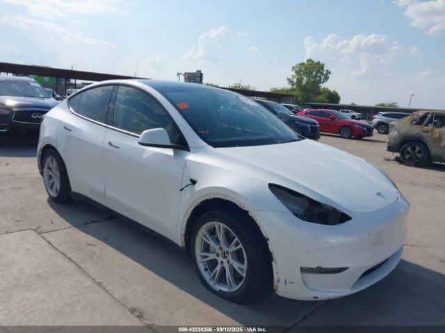 2023 TESLA MODEL Y 7SAYGAEE4PF849264 Photo 0
