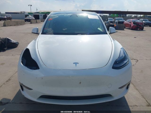 2023 TESLA MODEL Y 7SAYGAEE4PF849264 Photo 5