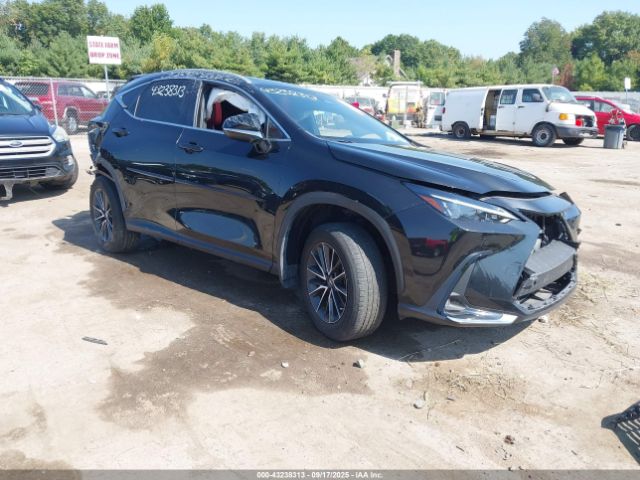 2023 LEXUS NX 250 2T2GDCAZXPC004733