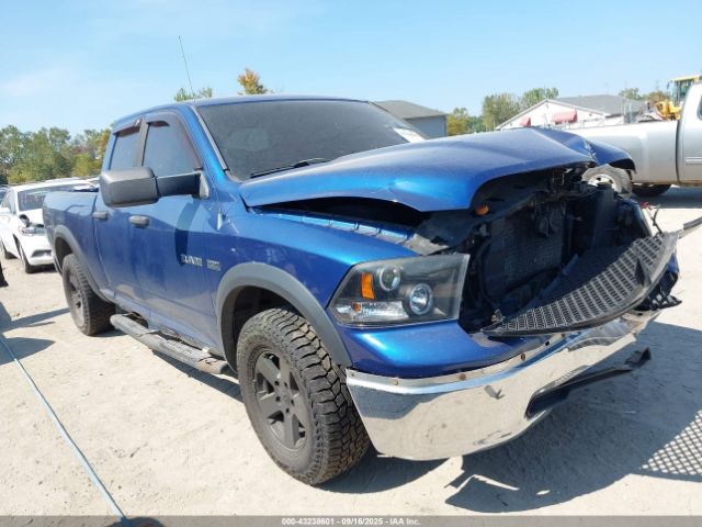 2009 DODGE RAM 1500 1D3HV18T09S729892