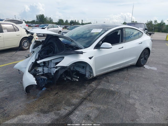2023 TESLA MODEL 3 5YJ3E1EA1PF427429 Photo 1