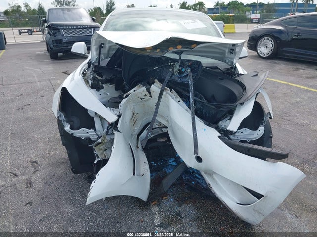 2023 TESLA MODEL 3 5YJ3E1EA1PF427429 Photo 5