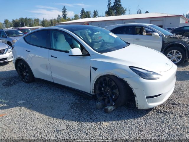 2023 TESLA MODEL Y 7SAYGAEE9PF884124 Photo 0