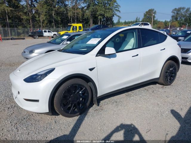 2023 TESLA MODEL Y 7SAYGAEE9PF884124 Photo 1