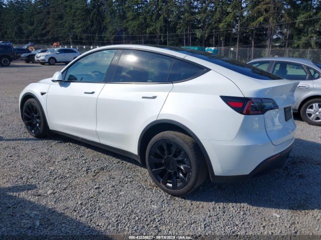 2023 TESLA MODEL Y 7SAYGAEE9PF884124 Photo 2