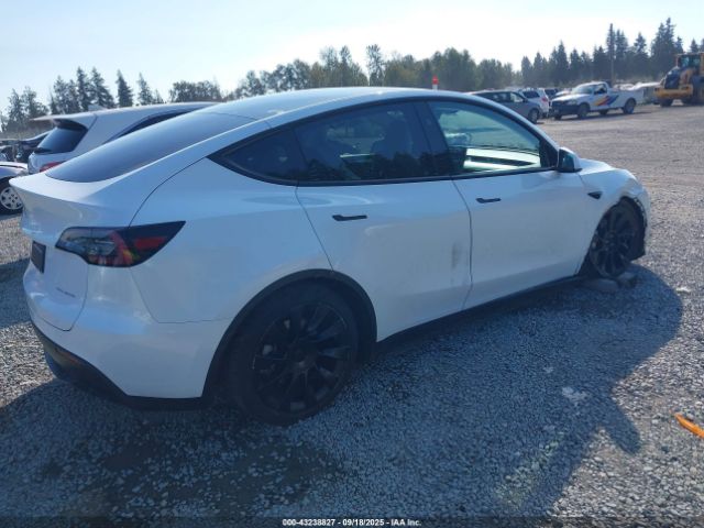2023 TESLA MODEL Y 7SAYGAEE9PF884124 Photo 3