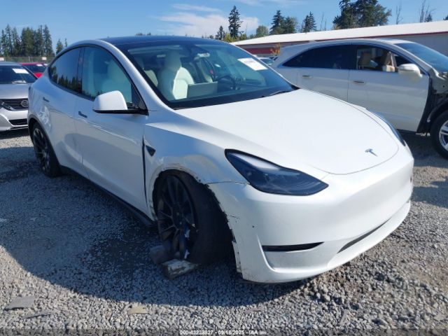 2023 TESLA MODEL Y 7SAYGAEE9PF884124 Photo 5
