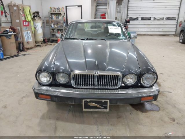 1984 JAGUAR XJ6 SAJAY1343EC381772 Photo 5