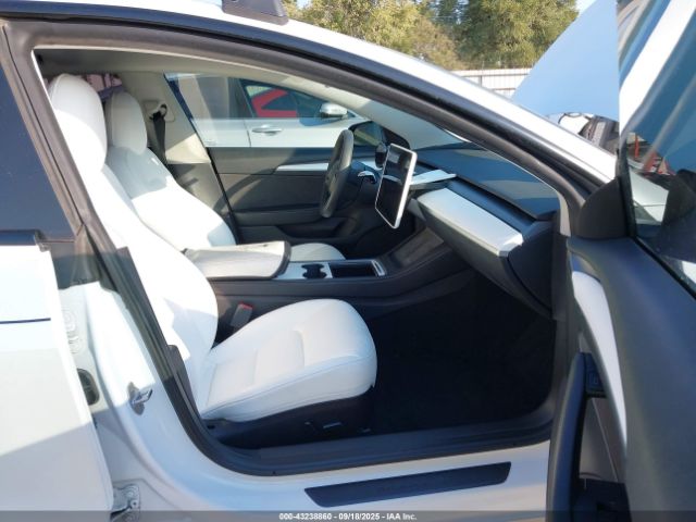 2023 TESLA MODEL 3 5YJ3E1EA9PF383065 Photo 4