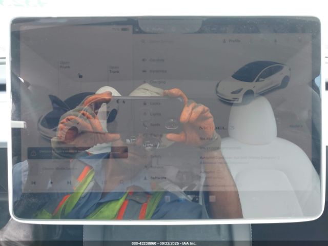 2023 TESLA MODEL 3 5YJ3E1EA9PF383065 Photo 6