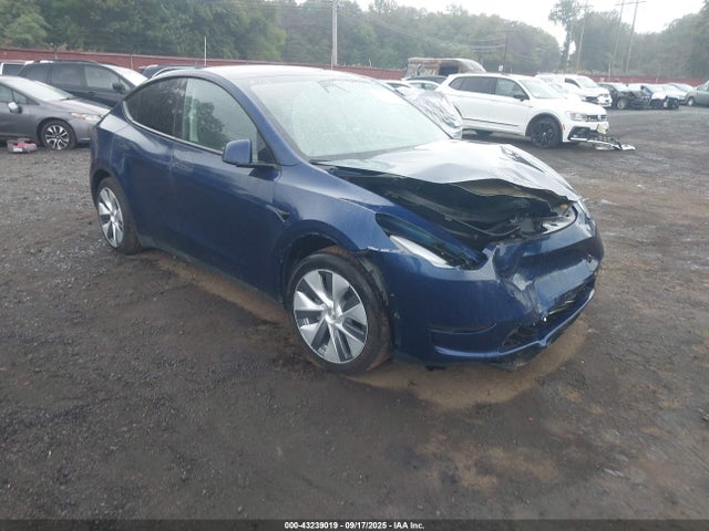2023 TESLA MODEL Y 7SAYGAEE6PF904975 Photo 0