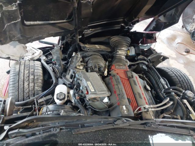 1994 CHEVROLET CORVETTE 1G1YY22PXR5117241 Photo 9
