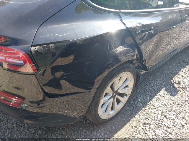 2023 TESLA MODEL 3 5YJ3E1EA2PF572074 Photo 5