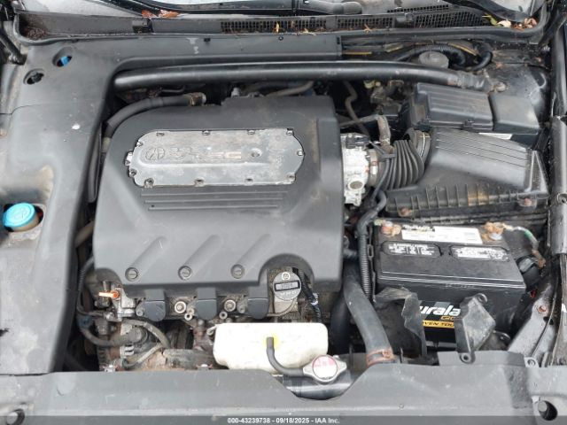2006 ACURA TL 19UUA66296A067954 Photo 9