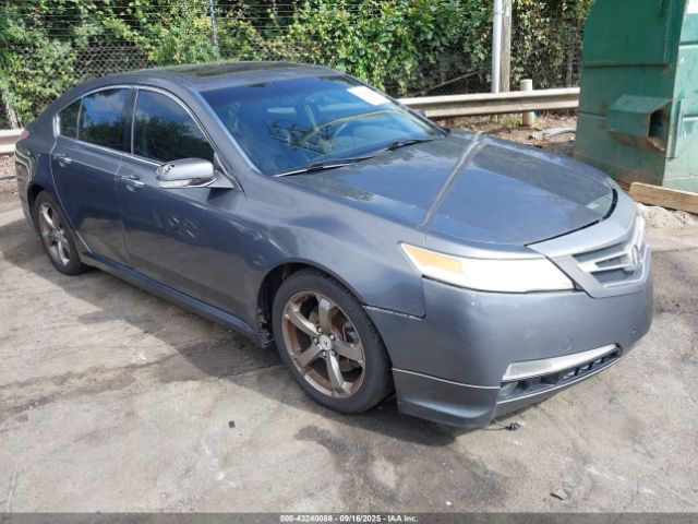 2010 ACURA TL 19UUA8F53AA013404
