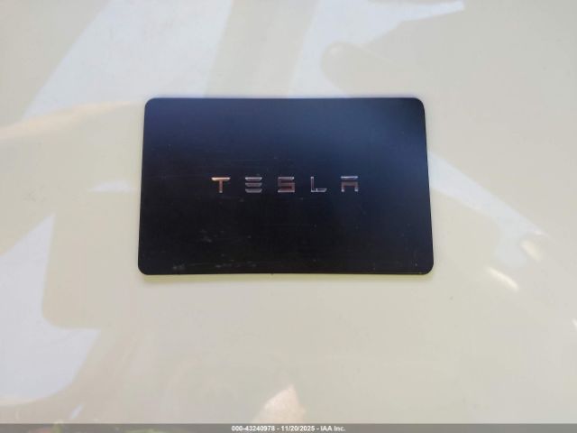 2025 TESLA MODEL 3 5YJ3E1EA8SF967336 Photo 10
