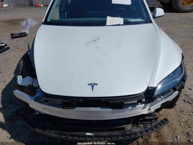 2025 TESLA MODEL 3 5YJ3E1EA6SF892829 Photo 9
