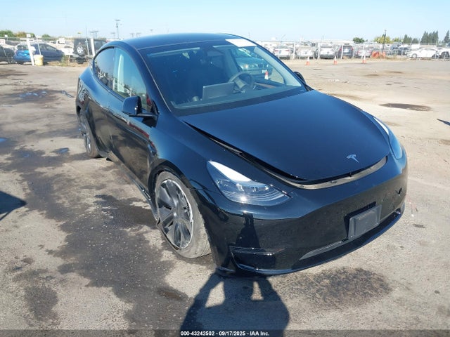 2025 TESLA MODEL Y 7SAYGDED8SF319056 Photo 0