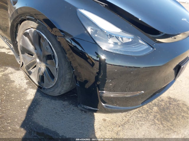 2025 TESLA MODEL Y 7SAYGDED8SF319056 Photo 5