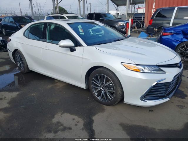 2024 TOYOTA CAMRY HYBRID 4T1F31AK7RU631353