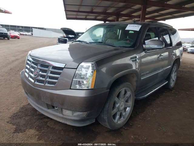 2011 CADILLAC ESCALADE 1GYS4BEF4BR191534 Photo 1