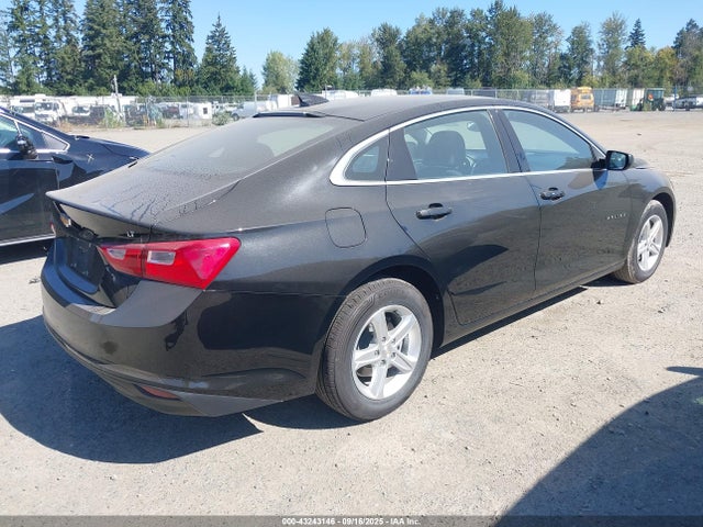 1G1ZD5ST1PF217489 Chevrolet lfv