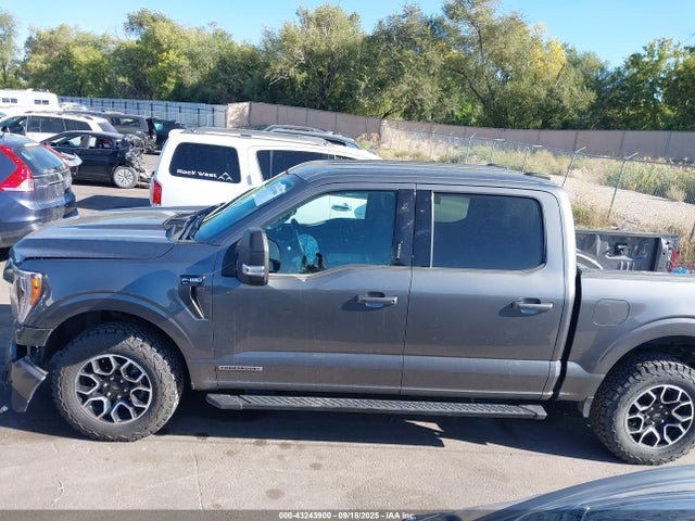 Ford F-150 Xlt 2023 1FTFW1ED7PFA78731 Image 15
