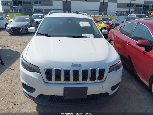 Jeep 2020 2020 1C4PJLLB3LD581288 Image 11