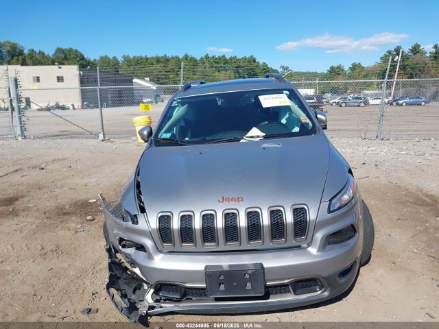 1C4PJMCB3GW356448 Jeep Cherokee 75th Anniversary