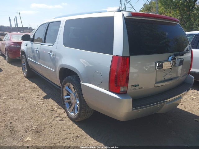 2010 CADILLAC ESCALADE ESV 1GYUKKEF8AR133536 Photo 2