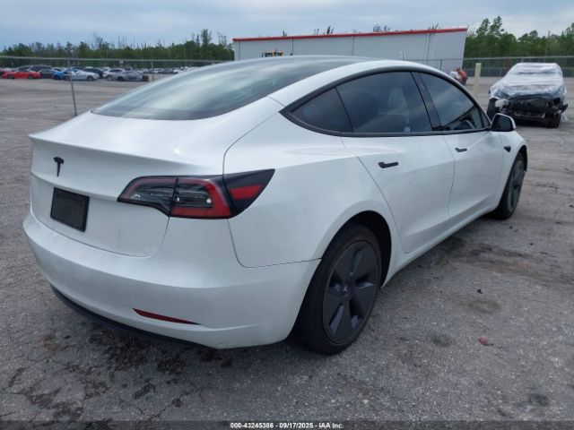 2023 TESLA MODEL 3 5YJ3E1EA9PF577174 Photo 3