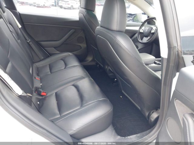 2023 TESLA MODEL 3 5YJ3E1EA9PF577174 Photo 7