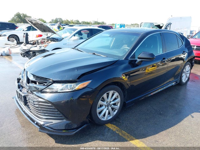 4T1B11HK4KU290560 Toyota CAMRY LE
